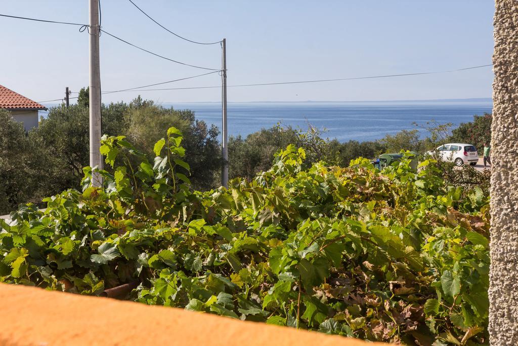 Miholascica Apartment Agava מראה חיצוני תמונה