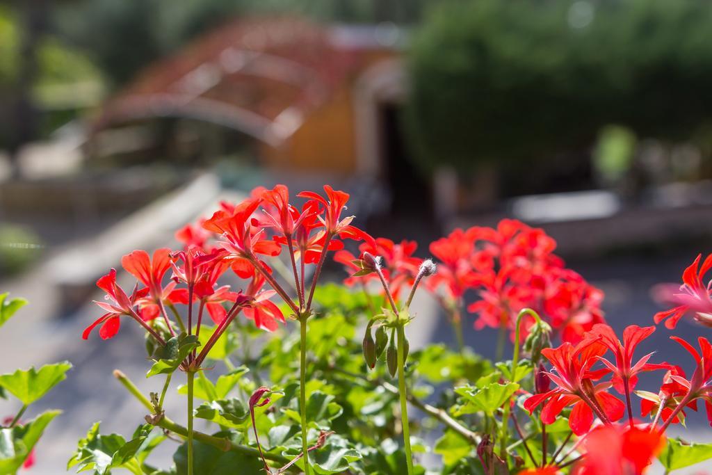 Miholascica Apartment Agava מראה חיצוני תמונה